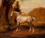 George Stubbs