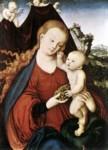 Lucas Cranach the Elder