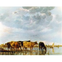 Cows in the Water