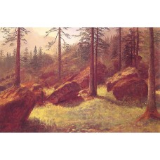 Wooded Landscape