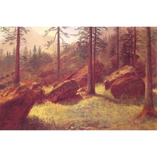 Wooded Landscape