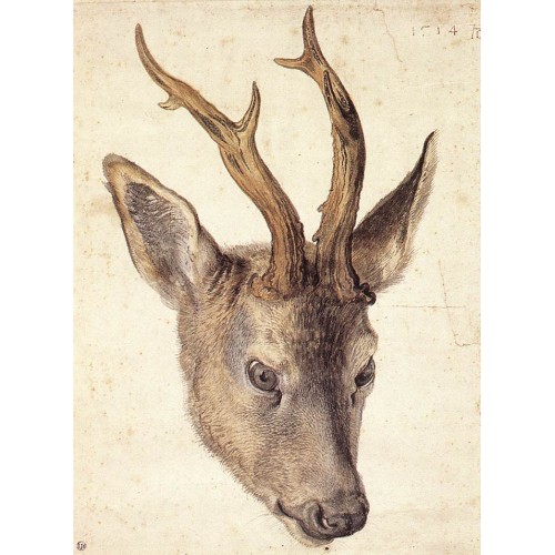 Head of a Stag