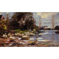 Ducks on a Riverbank on a Sunny Afternoon
