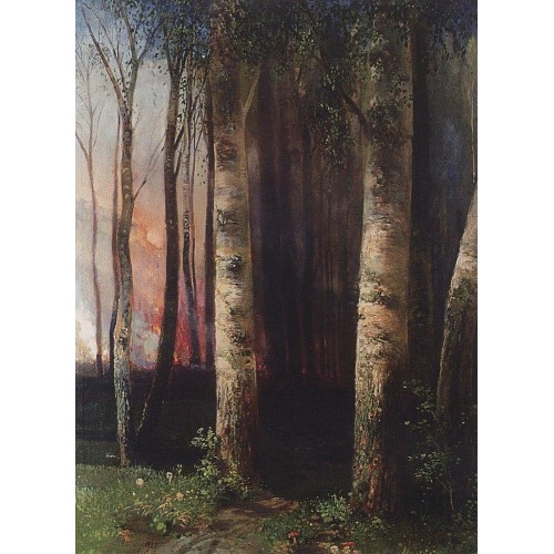 Fire in woods 1883