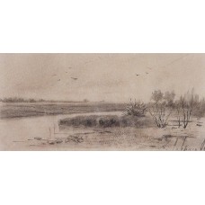 Marshy river 1875