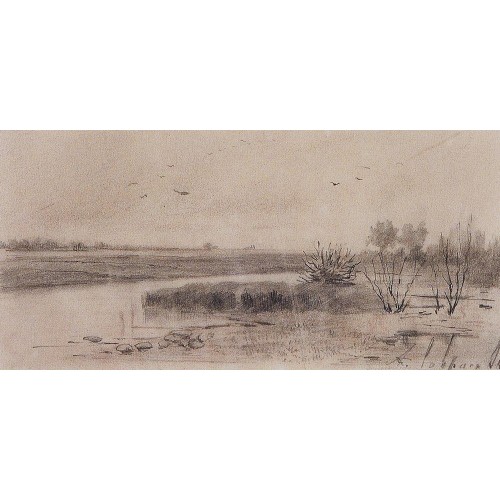 Marshy river 1875