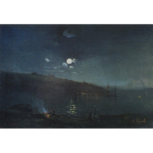 Moonlit night landscape with fire