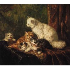 Five kittens