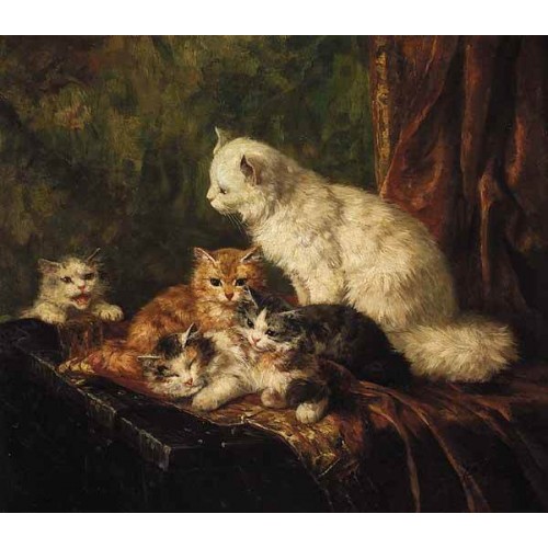 Five kittens