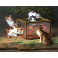 Four cats around an aquarium