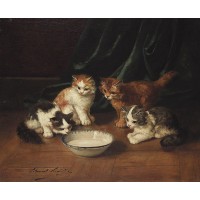 Four kittens and a milk bowli