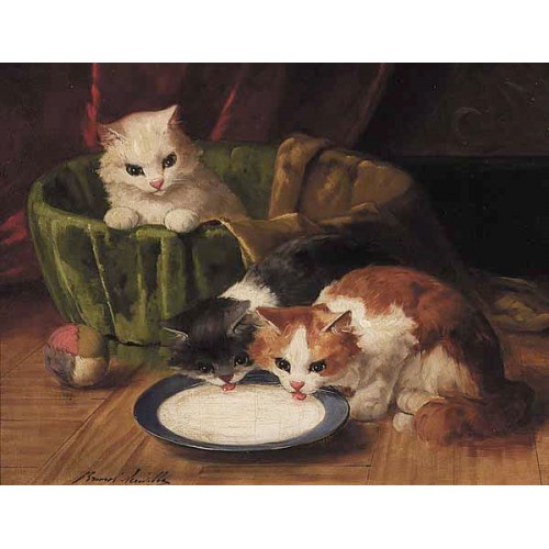 Kittens at the milk sauceri