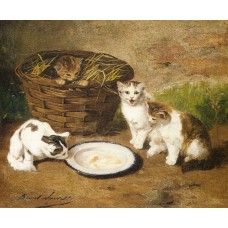 Kittens by a Bowl of Milk