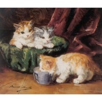 Kittens in a tea cup of mil