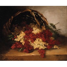 Redcurrants and whitecurrants in a basket