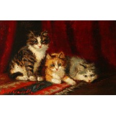 Three kittens