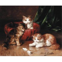 Three young kittens