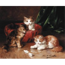 Three young kittens