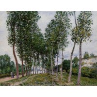 Lane of Poplars on the Banks of the Loing