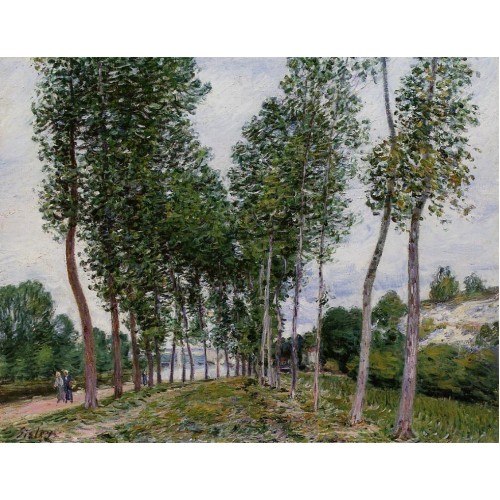 Lane of Poplars on the Banks of the Loing