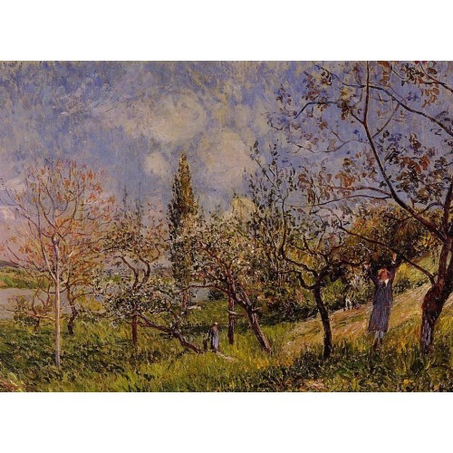 Orchard in Spring By