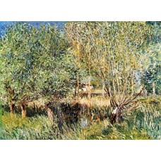 Willows on the Banks of the Orvanne