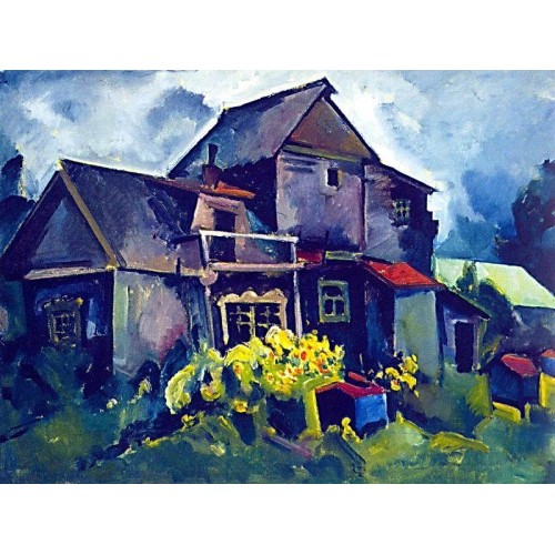 Country house village zyuzino