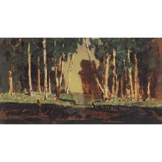 A birch grove