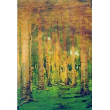 A birch grove spots of sunlight