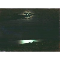 Moonlight night on the dnieper 1880