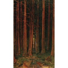 Sunset in the forest 1878