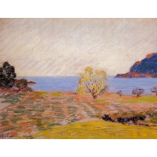 Agay Landscape