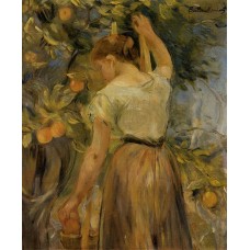 Young Woman Picking Oranges