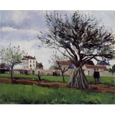 Apple Trees at Pontoise (The Home of Pere Gallien)