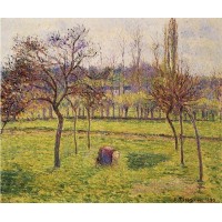 Apple Trees in a Field