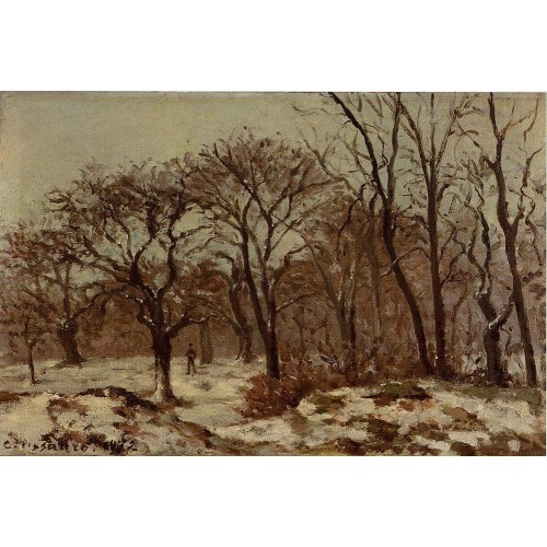 Chestnut Orchard in Winter