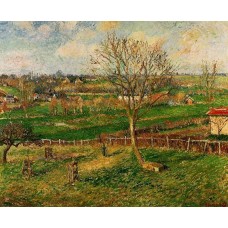 Landscape Fields Eragny