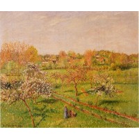 Morning Flowering Apple Trees Eragny