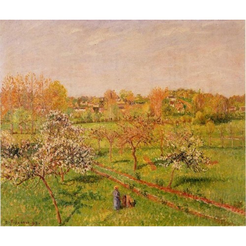 Morning Flowering Apple Trees Eragny