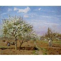 Orchard in Blossom Louveciennes