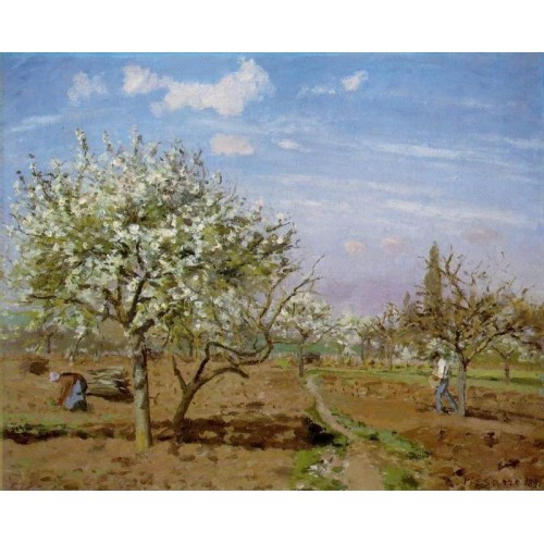 Orchard in Blossom Louveciennes