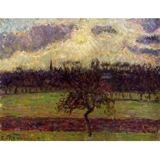 The Fields of Eragny the Apple Tree