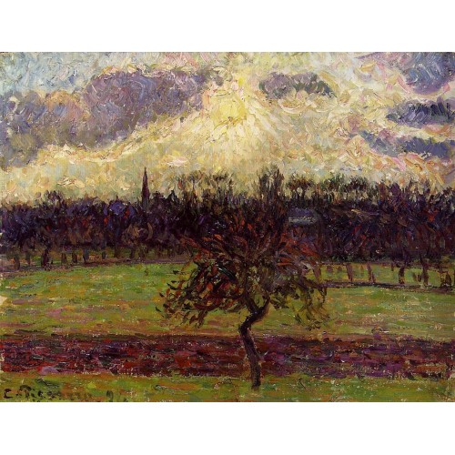 The Fields of Eragny the Apple Tree