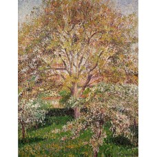 Walnut and Apple Trees in Bloom Eragny