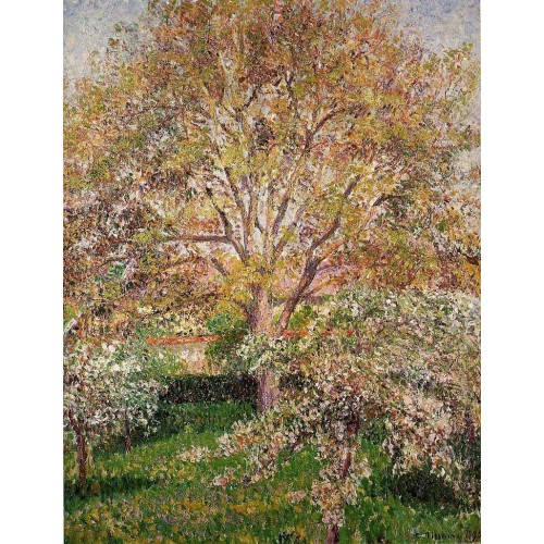 Walnut and Apple Trees in Bloom Eragny