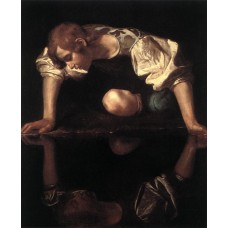 Narcissus