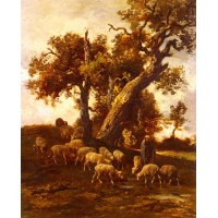 Sheep At Pasture