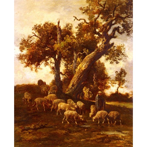 Sheep At Pasture