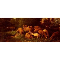 Sheep in the Undergrowth