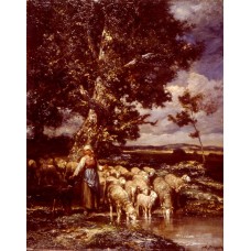 Shepherdess